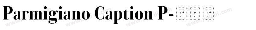 Parmigiano Caption P字体转换
